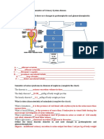 WB - Urinary System 2