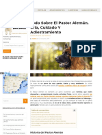 PDF Pastor
