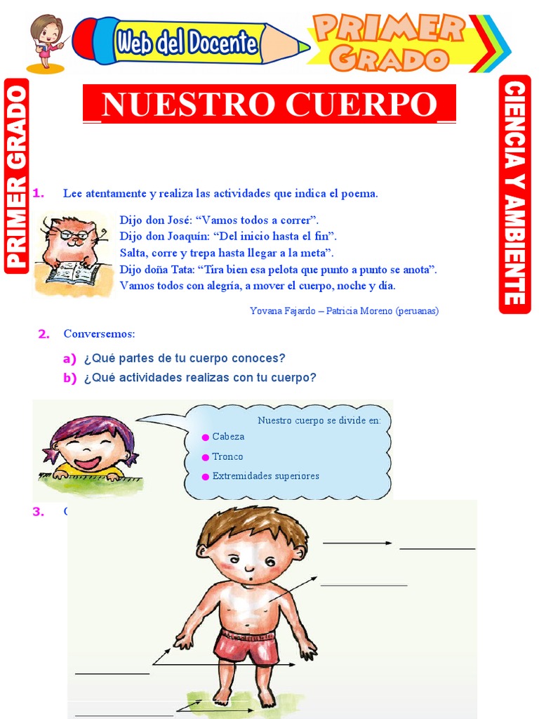 Actividades sobre el Cuerpo Humano 1er Grado | PDF
