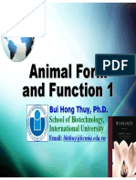 Lecture 10. Animal Form and Function 1