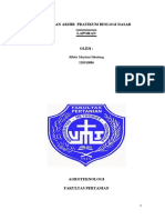 LAPORAN AKHIR PRATIKUM BIOLOGI DASAR RIBKA 220310086.AGT B.perkecambahaan