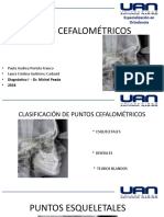 2.SEMINARIO PUNTOS CEFALOMETRICOS