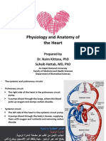 Anatomy 2 First