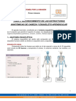 Tema 3 CRANEO Y APARATO LOCOMOTOR