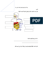 ورقة عمل الجهاز الهضمي للصف التاسع