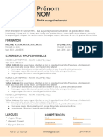 59 Curriculum Vitae Couleur.docx (1)