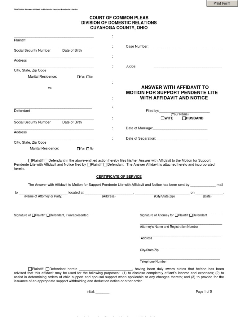 Answer Affidavit to Motion for Support Pendente Lite PDF Affidavit