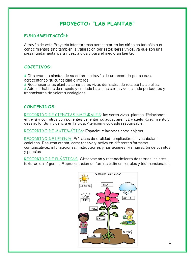 Proyecto de Aprendizaje sobre Plantas | PDF | Plantas | Naturaleza