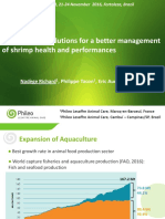 Yeast Product Solutions For A Better Management of Shrimp Health and Performances