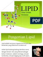 Lipid Biokimia