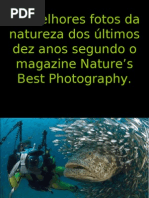 As melhores fotos da natureza