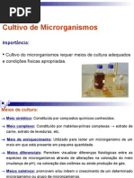 Aula 2 - Cultivo de Microrganismos