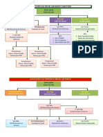 Carta Organisasi Ajk PBD 2021