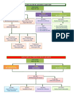 Carta Organisasi Pbs 2019