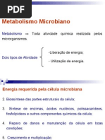 Aula 3 - Metabolismo Microbiano