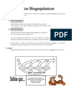 Ciclos Biogeoquímicos