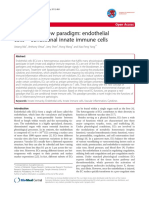 An Evolving New Paradigm: Endothelial Cells - Conditional Innate Immune Cells