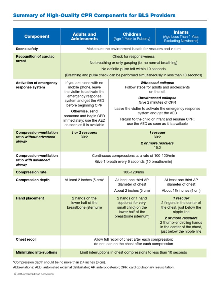 Summary of HighQuality CPR Components For BLS Providers PDF