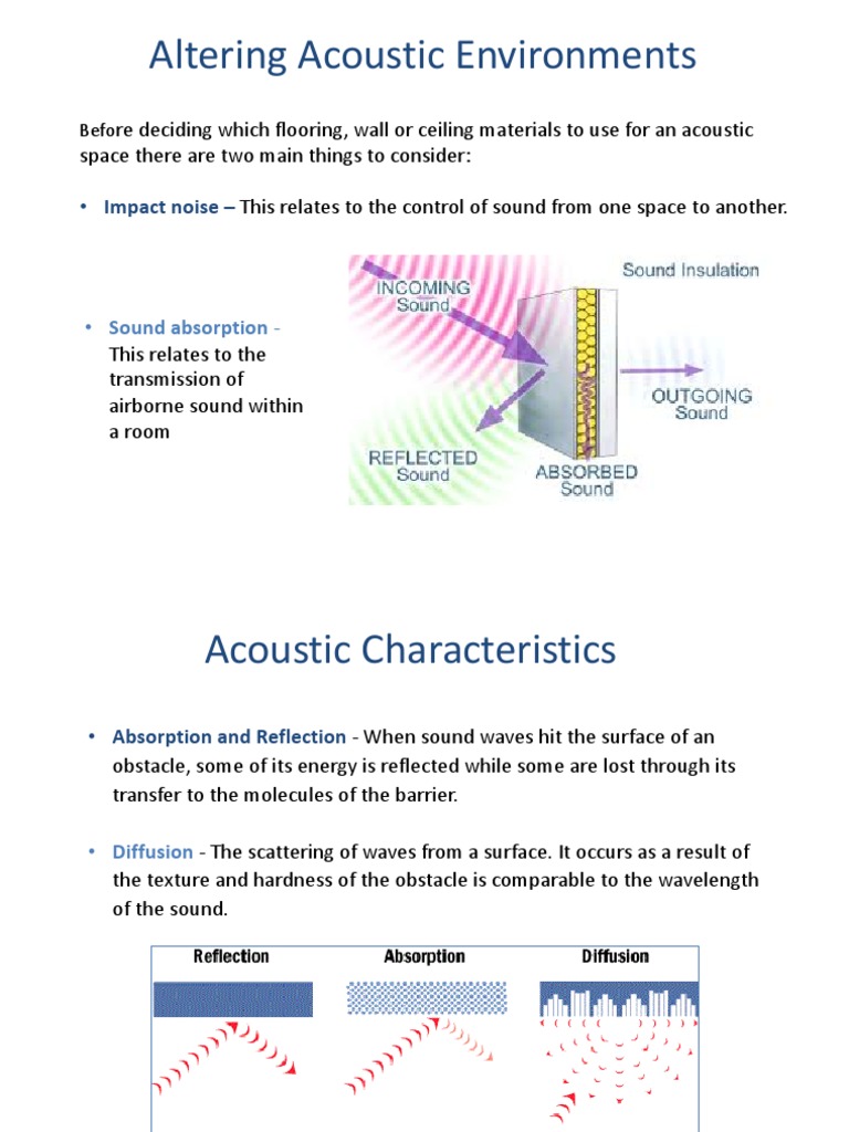 Acoustic Ecology A Deep Dive Into Sound Geography Examples - t2i7igy