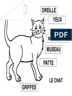 Queue Oreille Yeux: Le Chat Le Chat