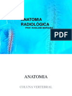 4 Aula C Vertebral