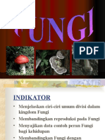 10 Fungi