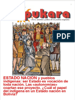 Pukara Nº 135