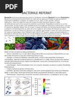 BACTERIILE