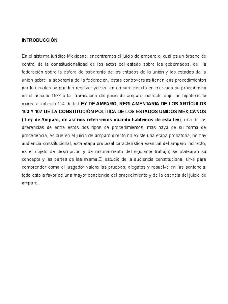Audiencia Constitucional en Juicio de Amparo | PDF | Caso de ley | Ley ...