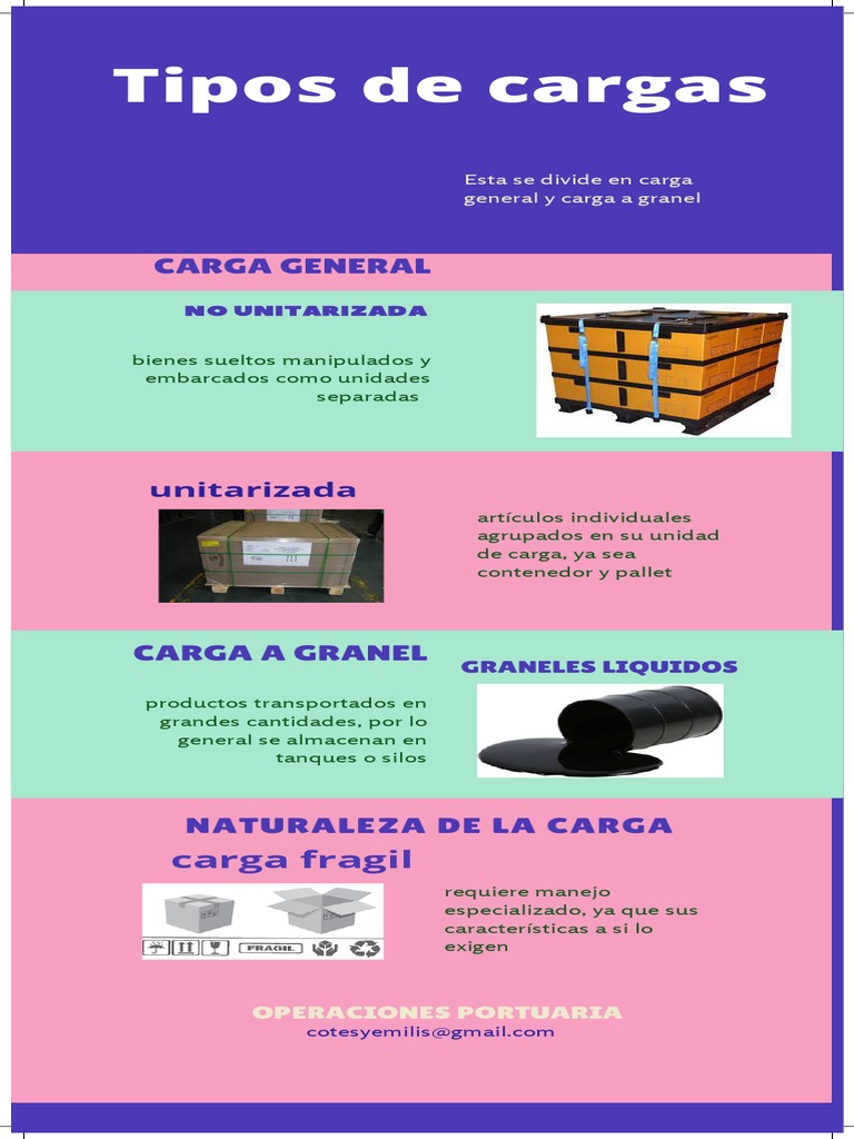 Tipos y clasificación de cargas en el transporte marítimo PDF