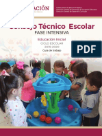 Guia CTE FaseIntesiva 2019-20 Educacion Inicial