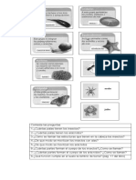 Preguntas 3º Cs. Naturales (Invertebrados