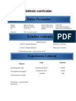 Sintesis Curricular