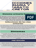 Infecciones de Las Vias Urinarias