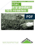 Plantar, Cuidar y Podar Los Rosales