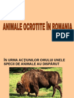 Animale Ocrotite in Romania