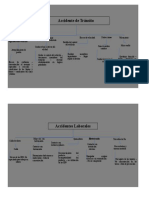 Mapa Conceptual Accidente de Transito - Aw