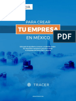 Guia Definitiva Para Crear Tu Empresa en México (Vol. 2)