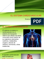 El Sistema Cardiovascular