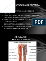 INSUFICIENCIA VASCULARES - Pptxfisiopato 2014