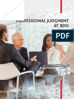 BDO-Professional-Judgment-Framework-(Conceptual-Guide)-(1)