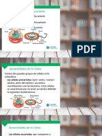 Clase N 4 Celula Eucarionte y Procarionte 2019