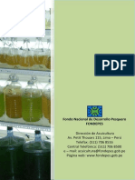 Protocolo Cultivo Microalgas 2