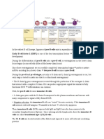 B-cell-differentiaton