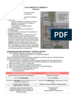 3-4. Ciclo Menstrual Femenino