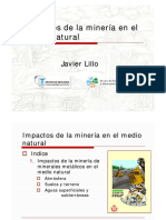 Impactos de La Minería - Javier Lillo