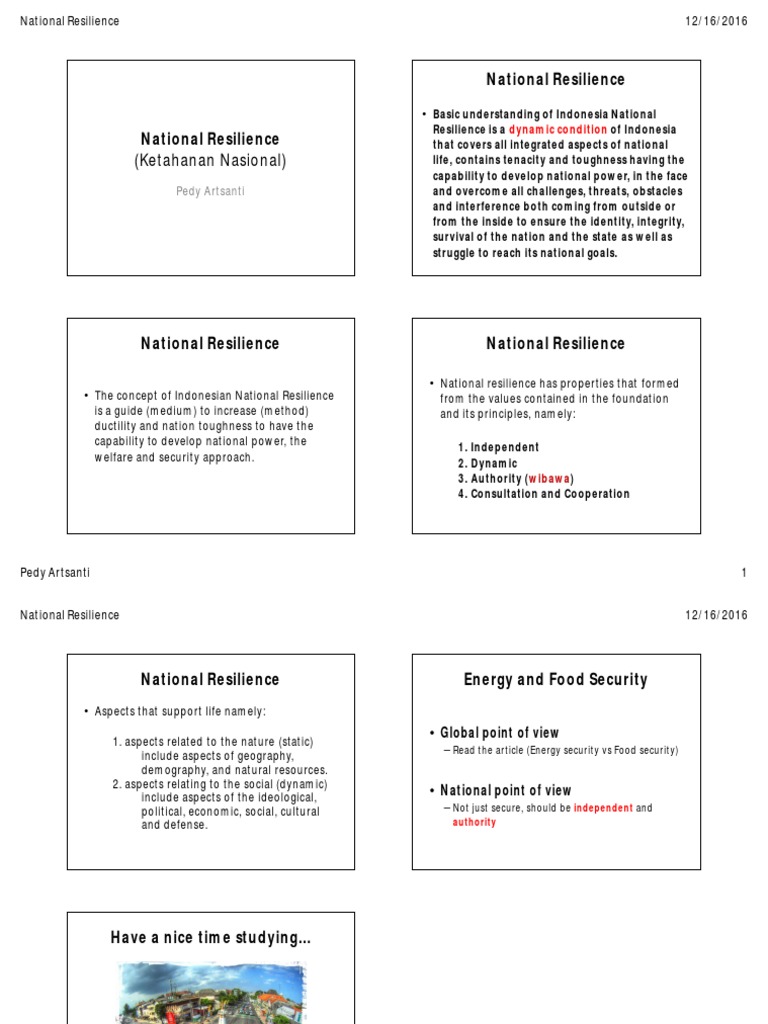 National Resilience 2016 PDF Policy Economies
