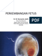 Obsgyn - Perkembangan Fetus