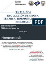 Sistema Endocrino Ciencias Naturales 2do Año GFM