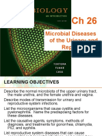 Microbial Diseases of The Urinary and Reproductive Systems